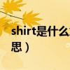 shirt是什么意思英语怎么说（shirt是什么意思）