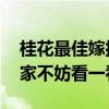 桂花最佳嫁接时间及方法（桂花嫁接时间 大家不妨看一看）