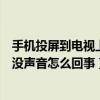 手机投屏到电视上没声音怎么转换格式（手机投屏到电视上没声音怎么回事）