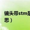 镜头带stm是什么意思（镜头上的stm什么意思）