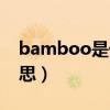 bamboo是什么意思啊（bamboo是什么意思）