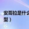 安哥拉是什么面料类型（安哥拉是什么面料类型）