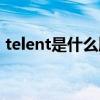 telent是什么牌子档次（telent是什么牌子）