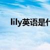 lily英语是什么意思（lily英语什么意思）