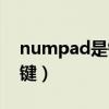 numpad是键盘的哪个键（numpad是什么键）