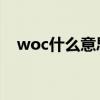 woc什么意思怎么读（woc什么意思 包）