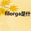 filorga是什么档次（filorga是什么牌子）