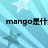 mango是什么牌子（mango是什么牌子）