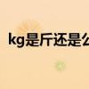 kg是斤还是公斤（kg代表什么斤还是公斤）