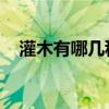 灌木有哪几种（灌木有哪些 有什么灌木）