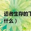 适者生存的下一句是啥（适者生存的下一句是什么）