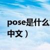 pose是什么意思网络用语（pose是什么意思中文）