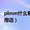 plmm什么意思网络上（plmm什么意思网络用语）