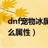 dnf宠物冰属性宝珠（Dnf新宠物冰翼之魂什么属性）