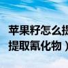 苹果籽怎么提取氢化物（从苹果籽中怎样可以提取氰化物）