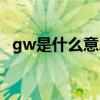 gw是什么意思中文翻译（gw是什么意思）