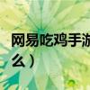 网易吃鸡手游叫什么名字（网易吃鸡手游叫什么）