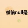 微信null是什么状态（微信null是什么）