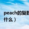 peach的复数形式什么（peach的复数形式是什么）