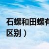 石螺和田螺有什么区别吗（石螺和田螺有什么区别）