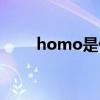 homo是什么梗（homo是什么梗）