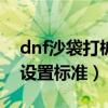 dnf沙袋打桩设置标准100级（dnf沙袋打桩设置标准）