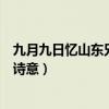 九月九日忆山东兄弟的诗意是什么（九月九日忆山东兄弟的诗意）