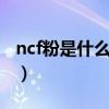 ncf粉是什么意思（网络用语nc粉是什么意思）