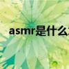 asmr是什么意思英文（asmr是什么意思）