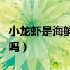 小龙虾是海鲜吗甲亢可以吃吗（小龙虾是海鲜吗）