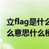 立flag是什么意思在哔哩哔哩里（立flag是什么意思什么梗）