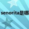 senorita是哪国歌曲（senorita是哪国语言）