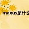 maxus是什么车型（maxus是什么车车标）