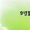 9寸显示屏尺寸是多少厘米