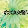 哈尔滨交警队（关于哈尔滨交警队的介绍）