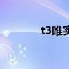 t3唯实（关于t3唯实的介绍）