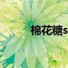 棉花糖sr（关于棉花糖sr的介绍）