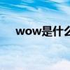 wow是什么（关于wow是什么的介绍）