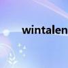 wintalent（关于wintalent的介绍）