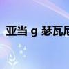 亚当 g 瑟瓦尼（关于亚当 g 瑟瓦尼的介绍）