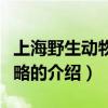 上海野生动物园攻略（关于上海野生动物园攻略的介绍）