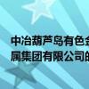 中冶葫芦岛有色金属集团有限公司（关于中冶葫芦岛有色金属集团有限公司的介绍）