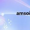 amsoil（关于amsoil的介绍）