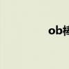 ob棒（关于ob棒的介绍）