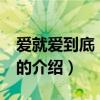 爱就爱到底 电视剧（关于爱就爱到底 电视剧的介绍）