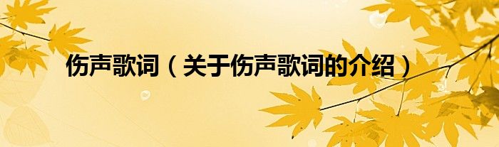 许嵩伤声吉他谱图片