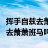 挥手自兹去萧萧班马鸣表达的感情（挥手自兹去萧萧班马鸣）