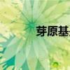 芽原基是什么（芽原基的作用）