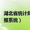 湖北省统计局网上申报（湖北省统计局网上直报系统）