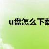 u盘怎么下载东西啊（u盘怎么下载东西）